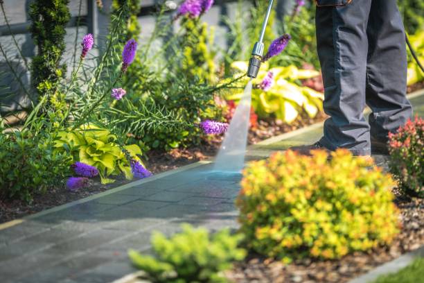 Best Machinery and Equipment Cleaning  in Central Gardens, TX