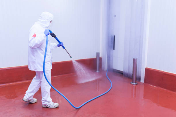 Best Paint Preparation  in Central Gardens, TX